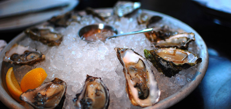 Oysters in Auckland