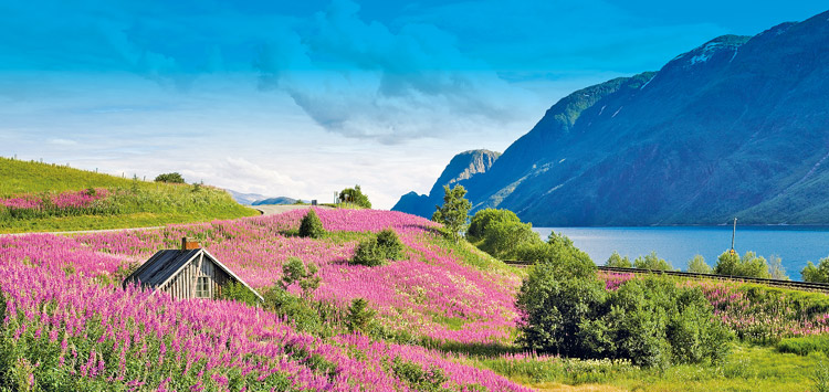 Norwegian Fjords