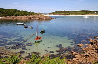 British Isles Discovery