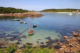 Summer Gardens & River Seine Experience