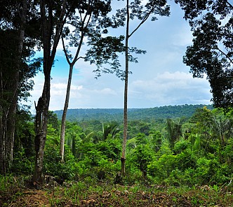 Amazon, West Indies & Azores