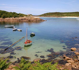 Summer Gardens & River Seine Experience